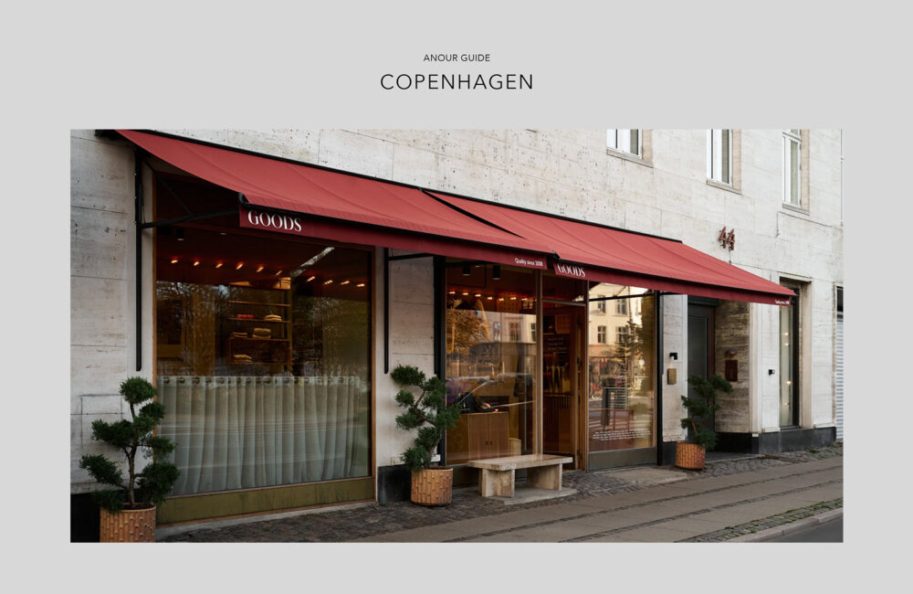 Copenhagen City Guide